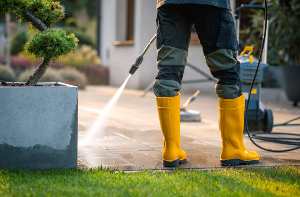 Best Residential Pressure Washing in Orchard Mesa, CO